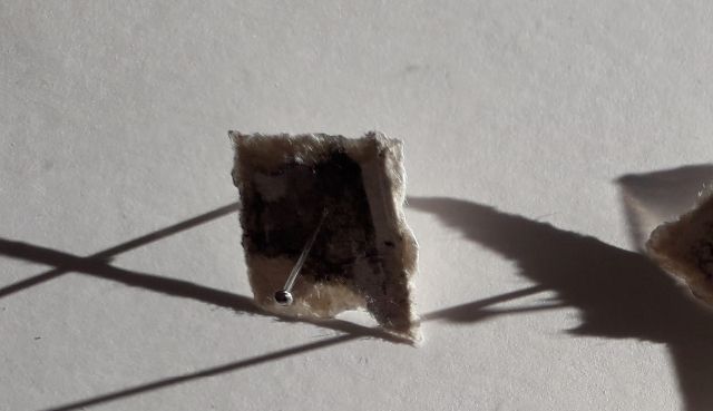 SMALL PAPERS